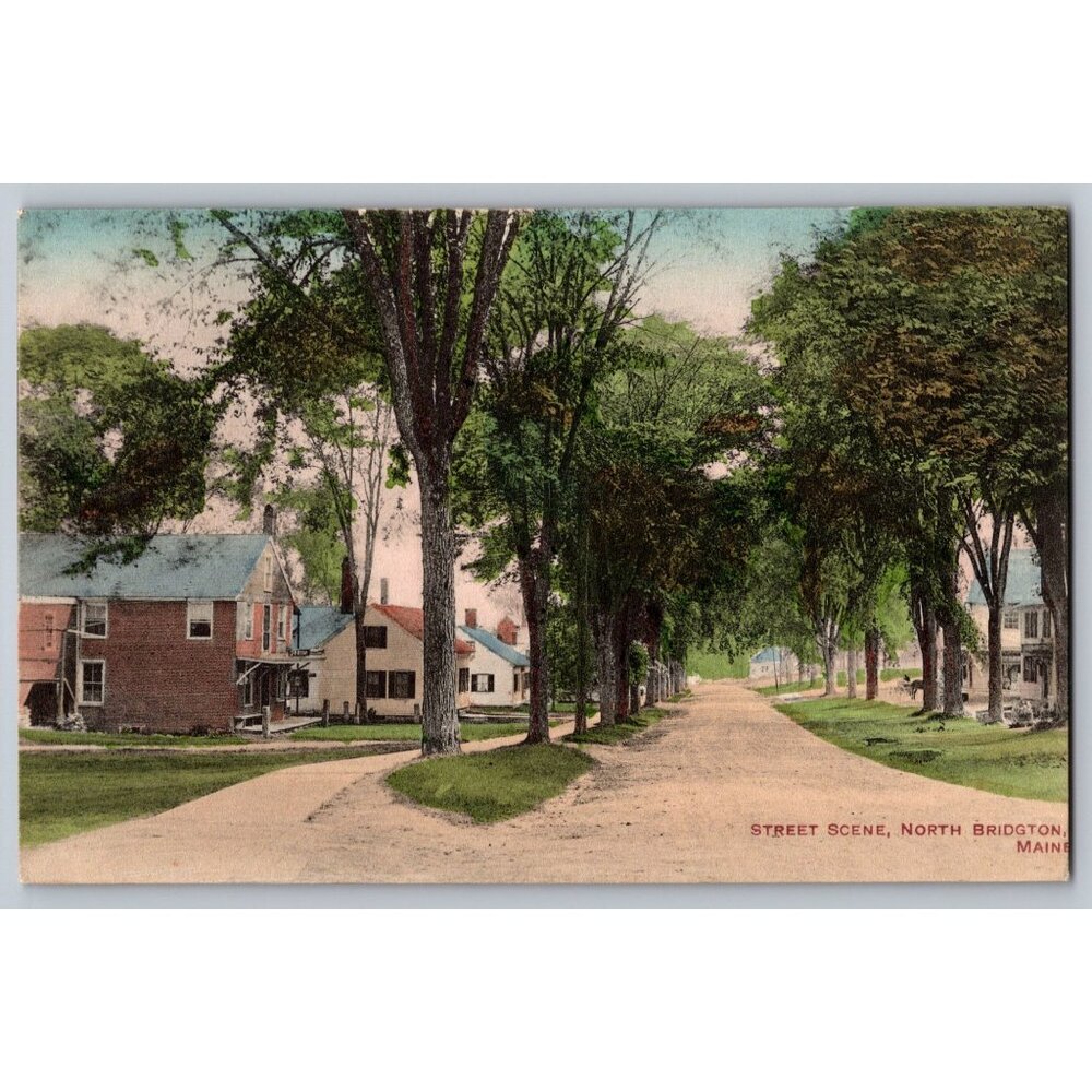 Postcard Posted 1910 Maine Divided Street Scene North Bridgton #755